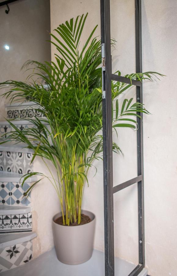 Rey De Sevilla Flats - Duplex Museo Bagian luar foto
